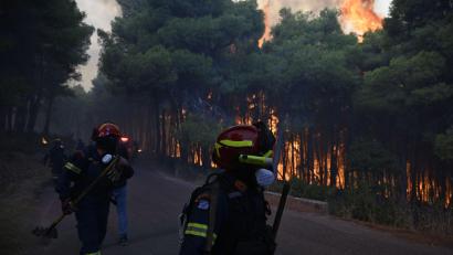 Bild: Michael Varaklas/AP/dpa
Aus der Luft gibt es wegen stürmischer Winde keine Hilfe - die Feuerwehrleute sind am Boden auf sich gestellt.