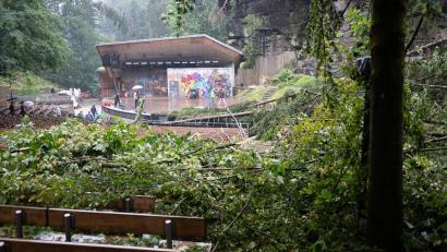 Bild: Sebastian Kahnert/dpa
Auch auf der Bühne und der Zuschauertribüne der Felsenbühne Rathen gibt es Schäden.