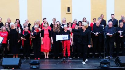 Bild: Robert Dotzauer
Hohe Vokalkunst bewies Singing Witt unter Leitung von Stefanie Zühlke-Schmidt bei einem Benefiz-Konzert im Kloster Speinshart