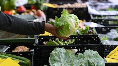Bild: Arne Dedert/dpa
Behörden in den USA bringen einen Ausbruch in neun Bundesstaaten mit Eisbergsalat in Verbindung. (Symbolbild)