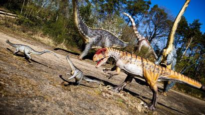 Bild: Moritz Frankenberg/dpa
Dinosaurier konnten viele Tonnen schwer werden - aber offenbar nicht so klein, dass sie nur ein paar Gramm wogen. (Archivbild)