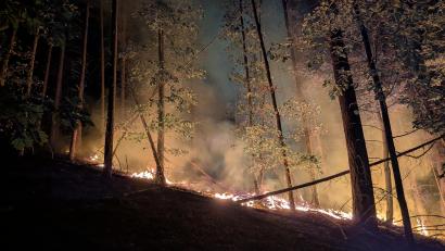 Bild: Armin Daubenmerkl
Dienstag gegen 21 Uhr, vier Tage nach dem Ausbruch des Waldbrandes flackern wieder Flammen am Johannisberg.