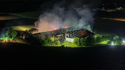 Bild: Jason Tschepljakow/dpa
Über 1.000 Schweine wurden bei dem Brand getötet.