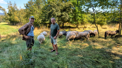 Bild: Christa Vogl
Martin Wittmann (links) ist Schafhalter im Nebenerwerb. Zusammen mit Werner Schubert vom Bund Naturschutz stattet er seinen Schützlingen auf der Wunschenberger Hout einen Besuch ab.