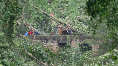 Bild: Sebastian Kahnert/dpa
Bei einem Unwetter stürzten zalhreiche Bäume um.