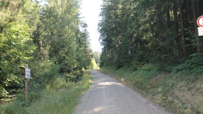 Bild: Josef Pilfusek
Hier veräuft der Mountainbike-Trail am Wurmstein.