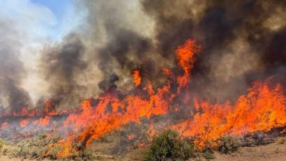 Bild: Uncredited/U.S. Forest Service/Fishlake National Fores/AP/dpa
Derzeit brennt es vielerorts in Utah (Handout).