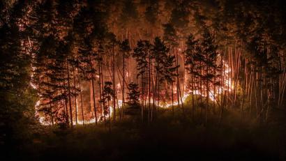 Bild: Jason Tschepljakow/dpa
Durch die Trockenheit der vergangenen Wochen ist der Wald extrem dürr.