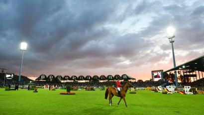 Bild: picture alliance / dpa
Bei der WM in Aachen wird die Team-Medaille bei den Springreitern unter Flutlicht vergeben. (Archivbild)