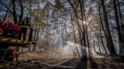 Bild: Andreas Arnold/dpa
Feuerwehrleute versuchen die Brände zu löschen.