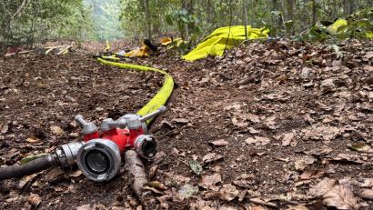Symbolbild: Heike Unger
Pro Jahr können bis zu 1000 Waldbrände in ganz Deutschland ausbrechen. In trockenen Jahren können es sogar bis zu 2500 Waldbrände werden.