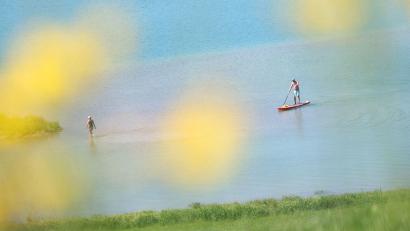 Bild: Karl-Josef Hildenbrand/dpa
Ein SUP-Fahrer ist auf dem Forggensee unterwegs. (Archivbild)