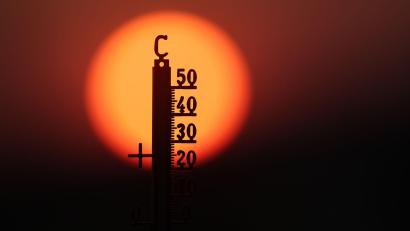 Bild: Thomas Warnack/dpa
Mehrere Hitzewellen haben die Temperaturen vielerorts auf Rekordwerte getrieben. (Archivbild)