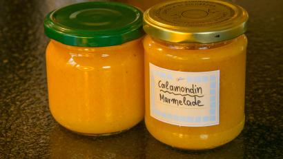 Bild: Hans Eiber/exb
Das Rezept für Calamondin-Marmelade ist von Gerda Eiber, der Vorsitzenden des Bau- und Gartenvereins Raigering-Aschach.