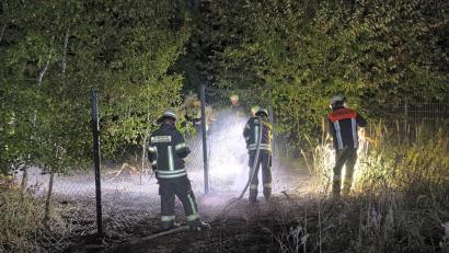 Bild: Feuerwehr Weiden
Rund 20 Quadratmeter an Gras und Sträuchern verbrannten bei dem Feuer in der Nähe des Weidener Open-Air-Kinos. Die Kino-Reihe findet beim VfB Weiden zwischen dem 7. und dem 16. August statt.