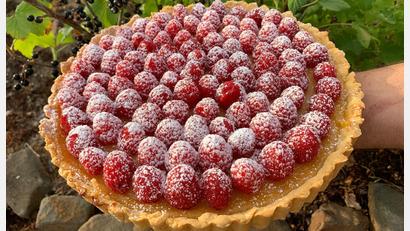 Bild: Michael Schiffer
Die fertige Zitronentarte mit Himbeeren.