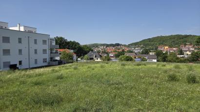 Bild: Tobias Gräf
Diese Wiese am Loderhof mit Blick auf den Annaberg (rechts hinten) soll bebaut werden. Die Bewohner des dreigeschossigen Neubaus (links) protestieren – nicht gegen das Ob, sondern gegen das Wie.
