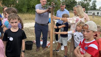 Bild: Joachim Gebhardt
Gemeinsam mit den Kindern pflanzte Landrat Richard Reisinger den neuen Apfelbaum an der Grundschule in Ebermannsdorf.