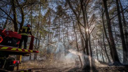 Bild: Andreas Arnold/dpa
Ein Waldbrand auf hessischem Gebiet hatte auch auf Bayern übergegriffen. (Archivbild)