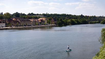 Bild: Daniel Löb/dpa
Alarm am Main - der Fluss führt zu wenig Wasser und das ist zu warm. (Archivbild)