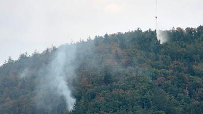 Bild: Tizian Gerbing/dpa
Waldbrände nehmen zu - der Bund Naturschutz mahnt zur Eile beim Waldumbau in Bayern. (Archivbild)