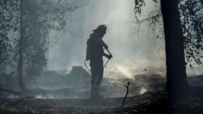Bild: Andreas Arnold/dpa
In dem betroffenen Waldgebiet bei Rodenbach stehen Nachlöscharbeiten an.