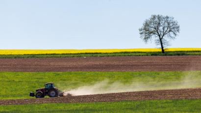 Bild: Daniel Karmann/dpa
Ein Landwirt ist bei Feldarbeiten mit seinem Traktor verunglückt. (Symbolbild)