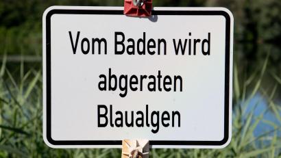 Bild: Julian Stratenschulte/dpa
Das Gesundheitsamt warnt vor dem Baden. (Symbolbild)