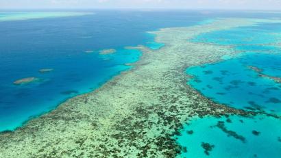 Bild: Uncredited/Kyodo News via AP/dpa
Das Great Barrier Reef gilt als eines der größten Naturwunder der Erde. (Archivbild)