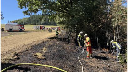 Bild: Michael Rubenbauer-Denz
Die Feuerwehren wurden am Mittwoch zu einem Feldbrand zwischen Beringersreuth und Kronau gerufen.