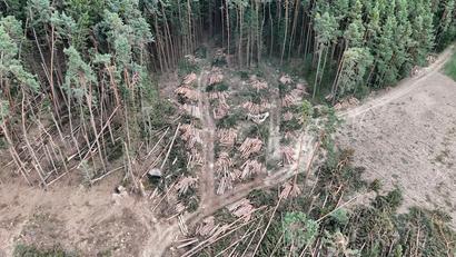 Bild: Waldbesitzervereinigung Nabburg-Burglengenfeld
Eine der Schneisen, die der Sturm geschlagen hat.