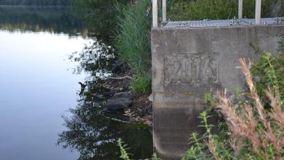 Bild: Anne Wiesnet
Fast 50 Zentimeter Wasser fehlen dem Eschenbacher Obersee. Der untere dunkelgraue Bereich am Mönch zeigt das deutlich. Die momentane Hitze und eine Maßnahme im Frühjahr machen den Tieren und Pflanzen jetzt Probleme.