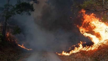 Bild: Jan Ohmen/dpa
Flammen schlagen im Hürtgenwald hoch.