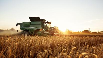Symbolbild: Rene Schmidt/dpa
Tennet und der Bayerische Bauernverband haben beschlossen, dass Landwirte zwischenbegrünte Flächen entlang des Süd-Ost-Links zur Futtergewinnung nutzen dürfen.