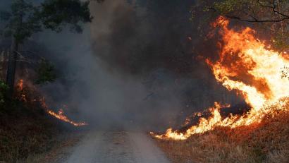 Bild: Jan Ohmen/dpa
Die lange Trockenheit erhöht das Waldbrandrisiko.