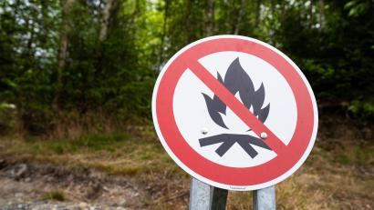 Symbolbild: Nicolas Armer
Rund um den Steinberger See wurden trotz Dürre und Verbots wiederholt Lagerfeuerstellen entdeckt.