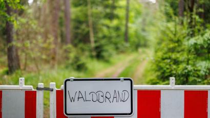 Symbolbild: Daniel Karmann/dpa
Am späten Samstagvormittag hat es in einem Wald zwischen Massenricht und Dürnast gebrannt. Rund 100 Einsatzkräfte konnten das Feuer aber schnell löschen.