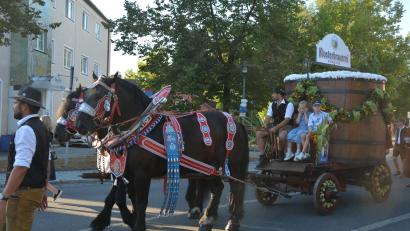 Bild: Josef Rosner
Percheron-Pferde zogen den Wagen der Kemnather Klosterbrauerei.