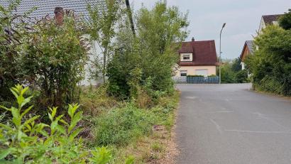 Bild: Gabi Schönberger
Wo hört der Garten auf, wo fängt die Straße an? Wenn Hecken und andere Gehölze oder auch Unkräuter bei mangelhafter Pflege auf Straßen und Gehwege wuchern, können sie zum Problem für Fußgänger, aber auch für Autos, Müllabfuhr und Winterdienst sowie den Regenwasserabfluss werden.