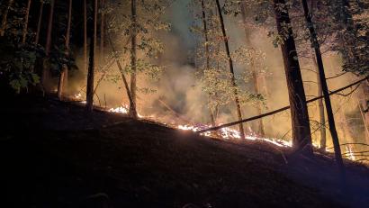 Bild: Armin Daubenmerkl/Feuerwehr Freudenberg-Wutschdorf
Auch nachdem der Brand im Wald bei Freudenberg gelöscht war, sind in den Tagen danach immer wieder kleine Feuer ausgebrochen, weil Wind Glutnester im Boden neu angefacht hat.