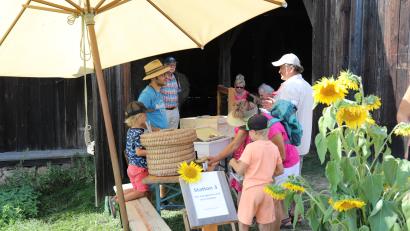 Bild: Eva Gröninger
Wildbienen sind eine der Attraktionen beim Naturentdeckertag im Freilandmuseum Oberpfalz.