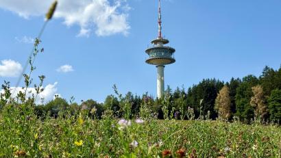Bild: Gabi Schönberger
Seit 60 Jahren bedient der Fernsehturm auf der Geißleite am Fischerberg bei Weiden verschiedene Funkdienste (u.a. Mobilfunk, Rundfunk oder den Funkverkehr für Flugzeuge).
