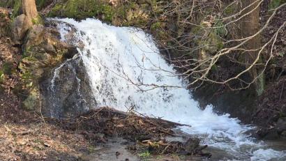 Bild: Manfred Rogner
Der Wasserfall am Hammerbach in Freudenberg. So sieht er normalerweise aus.