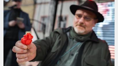 Bild: Matouš Horáček/Česko-bavorský spolek přátelství a spolupráce
Klein, verschrumpelt, höllisch scharf: Feuerrote Chilischoten sind nur eine von vielen Attraktionen beim Nachbarschafts-Foodfest in Tachov.
