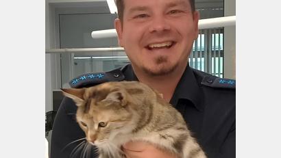 Bild: Polizei Nabburg/Hermann
Die PI Nabburg konnte eine entlaufene Katze wieder an die Besitzerin übergeben.