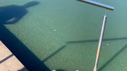 Symbolbild: Landkreis Neustadt a.d.Waldnaab
Blaualgen im Rußweiher in Eschenbach führen zu einem Badeverbot.