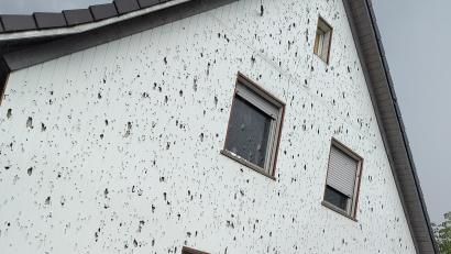 Bild: Erich Hans
Die Hausfassade von Erich Hans in Steinberg am See ist völlig durchlöchert von den Einschlägen der Hagelkörner.