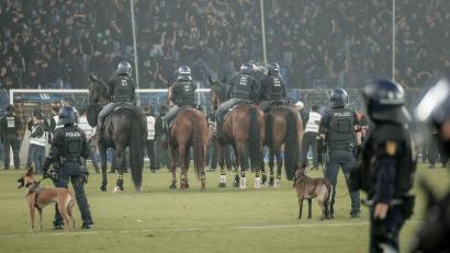 Bild: Foto Huebner/dpa
Beim DFB-Pokalspiel in Mannheim war auch berittene Polizei auf dem Spielfeld.