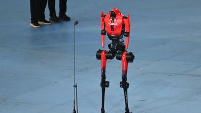 Bild: Johannes Neudecker/dpa
Roboter „Blitz“ hatte bereits im Vorfeld den 100-Meter-Rekord von Usain Bolt unterboten.