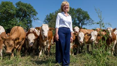 Bild: Peter Kneffel/dpa
Antje Haberl, Wirtin der Ochsenbraterei und Inhaberin der Haberl Gastronomie, besucht regelmäßig "Ihre" Ochsen